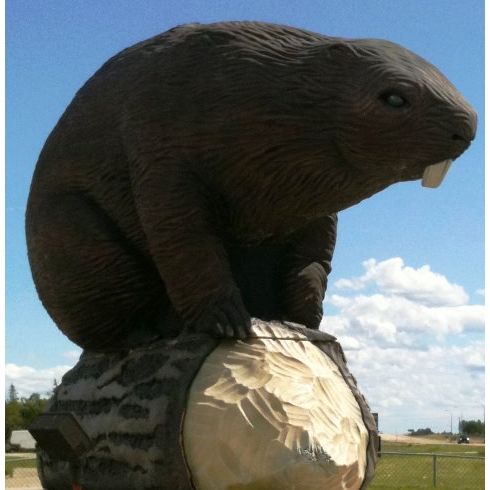 15ft Beaver – Beaverlodge 15ft Beaver – Beaverlodge
